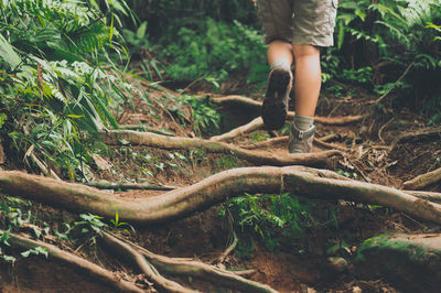 Low section of person in forest