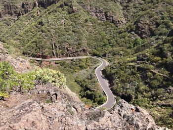 High angle view of road amidst trees in forest