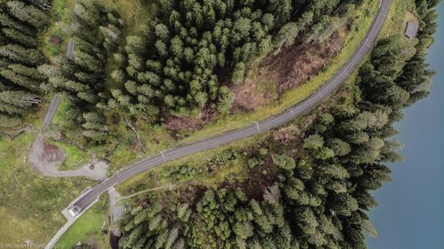 High angle view of road amidst trees