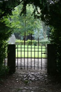 Gate in park