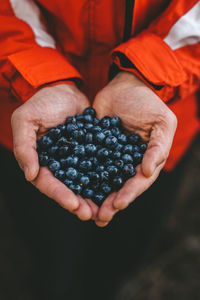 Midsection of man holding fruit