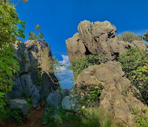 Low angle view of rock formation amidst trees against sky