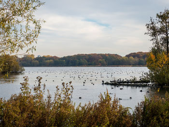 Scenic view of lake against sky