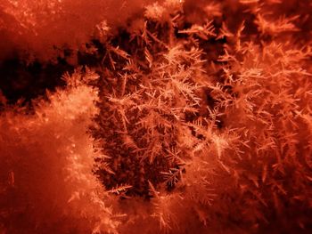 Full frame shot of red water