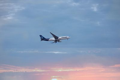 Low angle view of airplane flying in sky