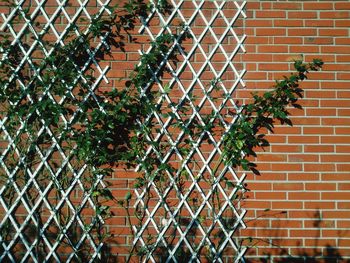 Full frame shot of chainlink fence