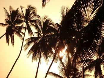 Low angle view of silhouette palm trees against sky during sunset