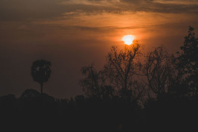 Silhouette trees against sky during sunset