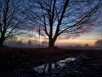 Bare trees on snow covered field during sunset