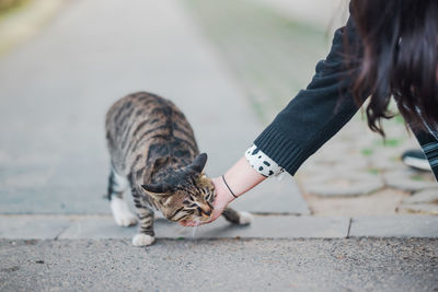 Low section of person on footpath by street