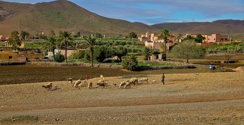 Scenic view of village against sky