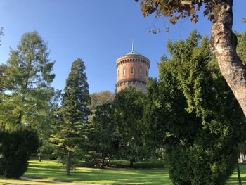 Trees in park against sky