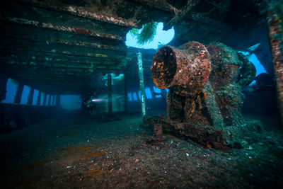 Man standing in aquarium