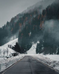 Road amidst trees against sky during winter
