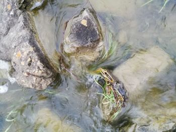 High angle view of water