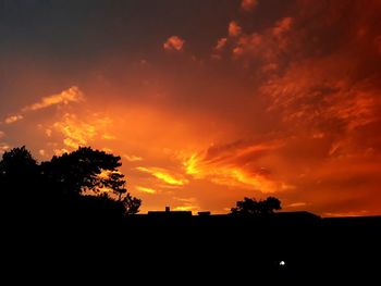 Low angle view of silhouette trees against orange sky