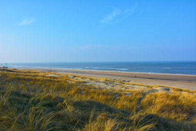 Scenic view of sea against clear blue sky