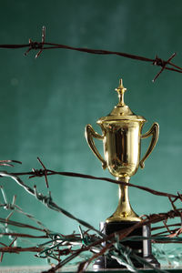 Trophy amidst barbed wire