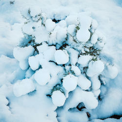 Close-up of snow