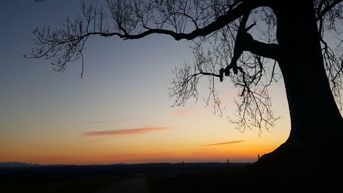 Silhouette bare tree against sky during sunset