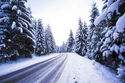 Road amidst trees against sky