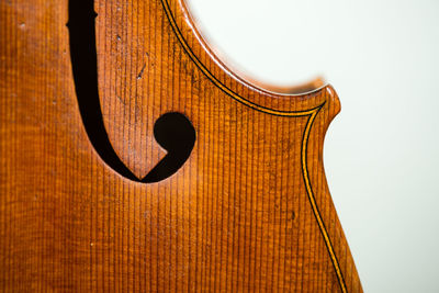 Close-up of viola against white background