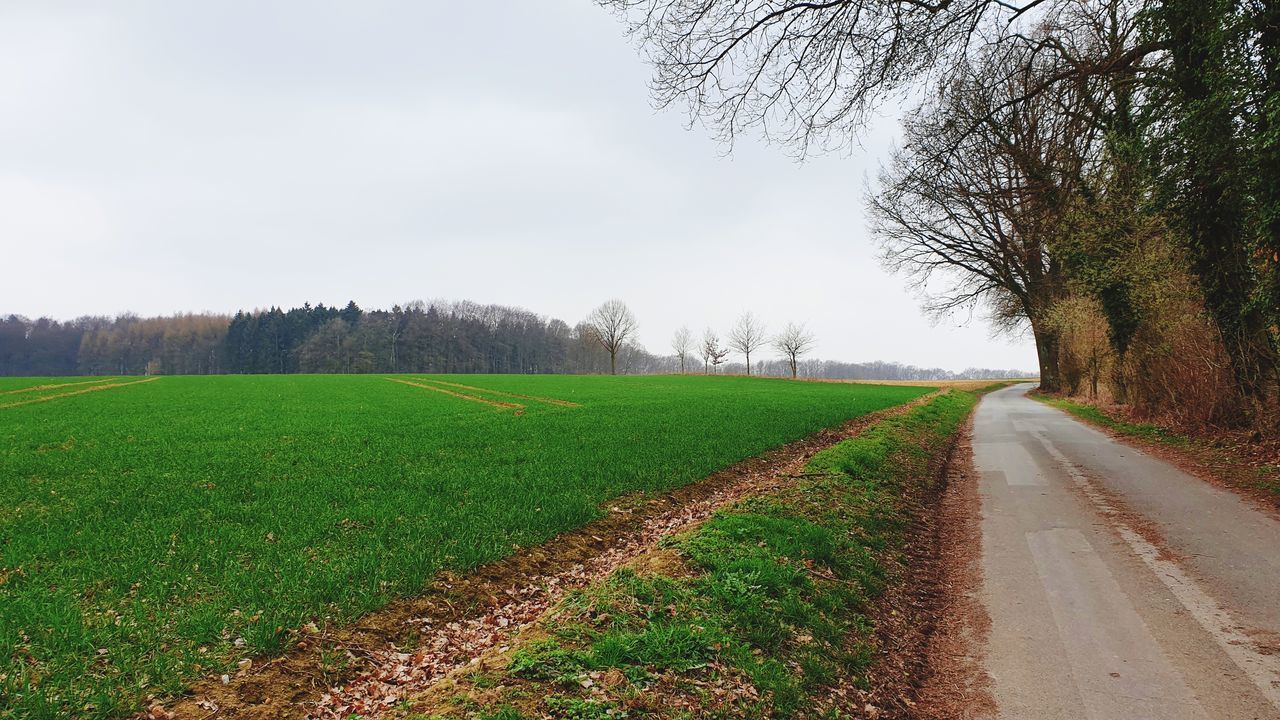 SCENIC VIEW OF ROAD AMIDST FIELD AGAINST SKY