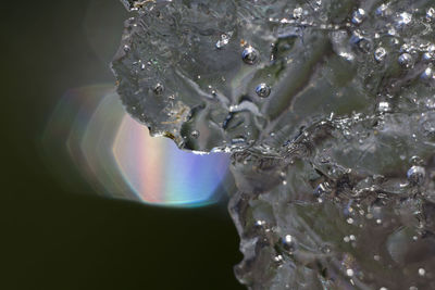 Close-up of water