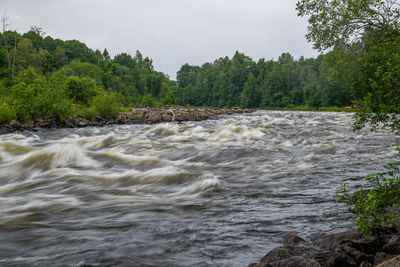 Scenic view of river flowing in forest against sky