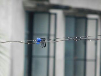 Close-up of water hanging from metal