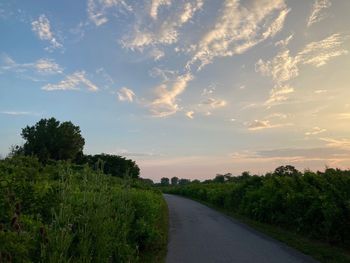 Empty road along plants and trees against sky