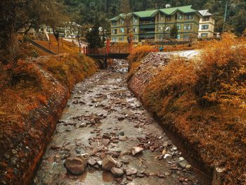 Road amidst buildings in town during autumn