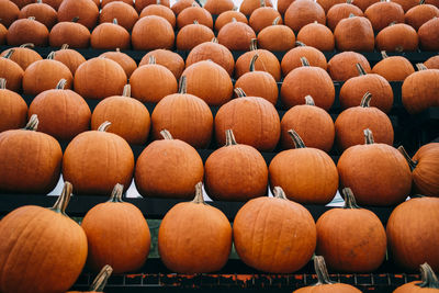 Full frame shot of pumpkins in market