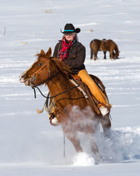 Man riding horse in water