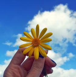 Close-up of hand holding yellow flower against sky