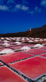 Red flags on land against blue sky