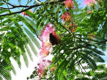 Close-up of bird perching on tree