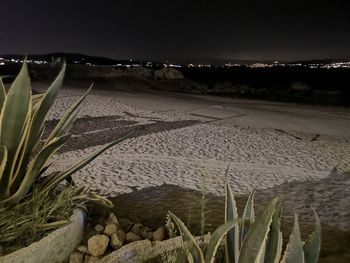 Scenic view of agricultural field against clear sky at night