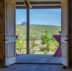 Scenic view of field against sky seen through window