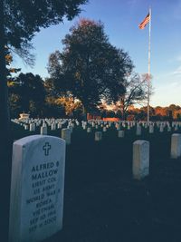 Trees growing in cemetery against sky