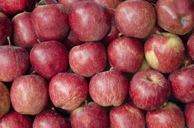 Fresh red apples in rows for texture or background.	