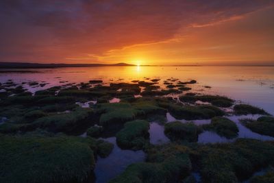 Scenic view of sea against sky during sunset