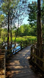 Walkway amidst trees on landscape against sky