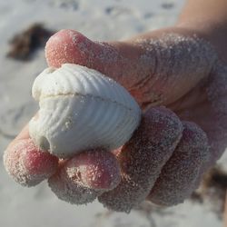 Close up of plant against blurred background