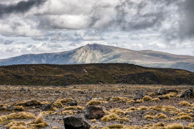 Scenic view of arid landscape against sky