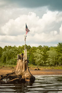 Flag on tree by lake against sky