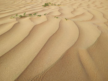 Full frame shot of sand