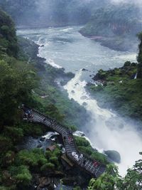 High angle view of river amidst trees