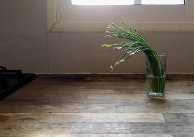 Potted plant on table at home