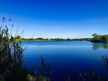 Scenic view of lake against blue sky